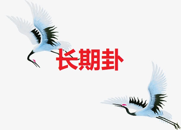 <b>长期卦</b>